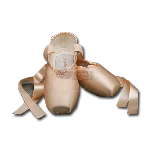 Shoes Quality Pointe Wedges Corsets PNG