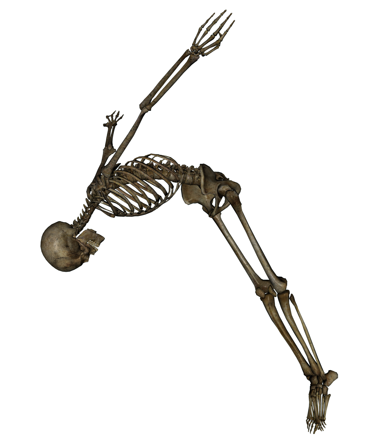 Finally Framework Adventure Magic Skeleton PNG