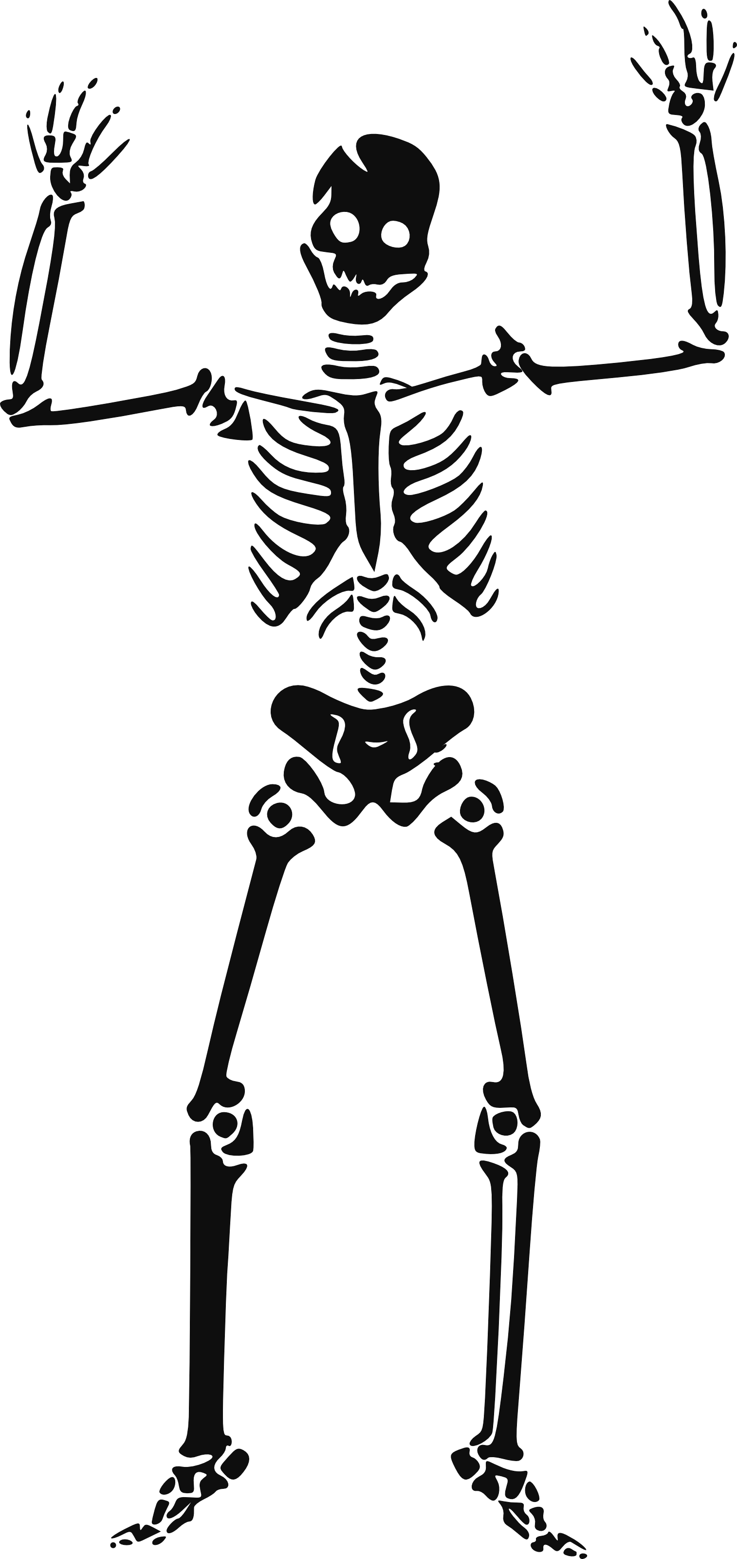 Interest Frame Tequila Corpse Crazy PNG