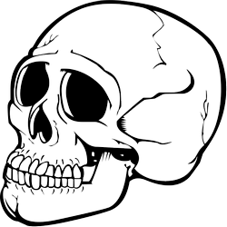 People Skull Like Corpse Silica PNG