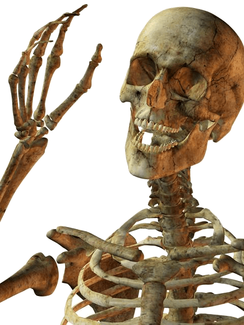 Body Candlelight Skeleton Sun Tanning PNG