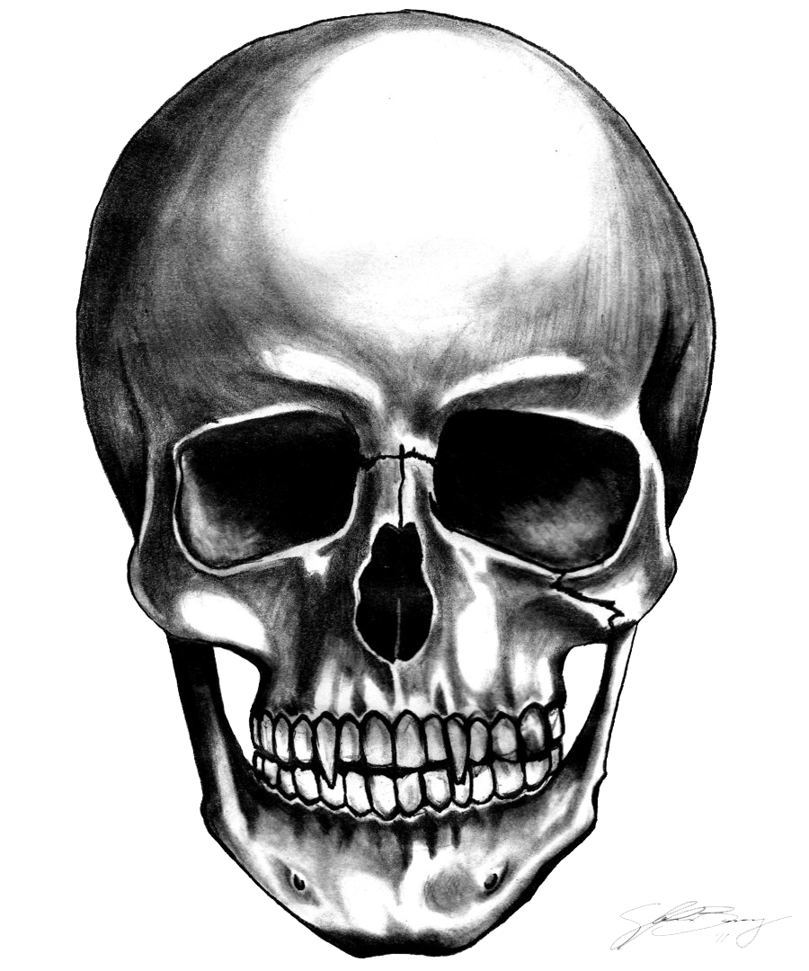 Skull Background Chrome Shopping Donkey PNG