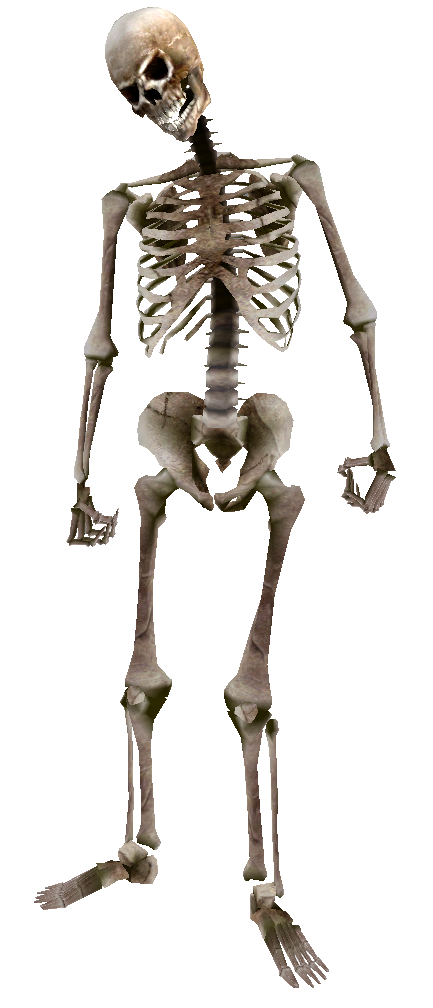 Organism Skeleton Trilobite Oblivion Tooth PNG