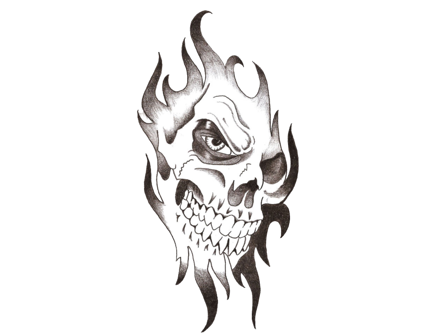 Crane Artist Femur Artwork Skull PNG