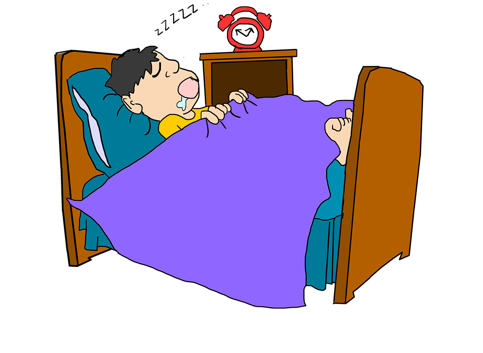 Doze Accommodation Lying Insomnia Hibernate PNG