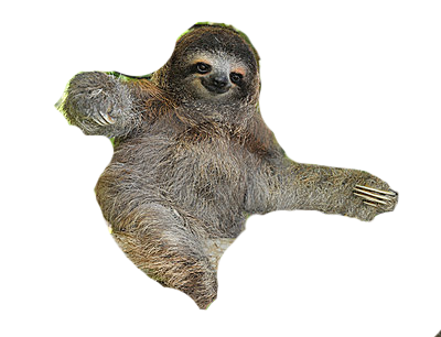 Dogs Laziness Family Dolphin Sloth PNG
