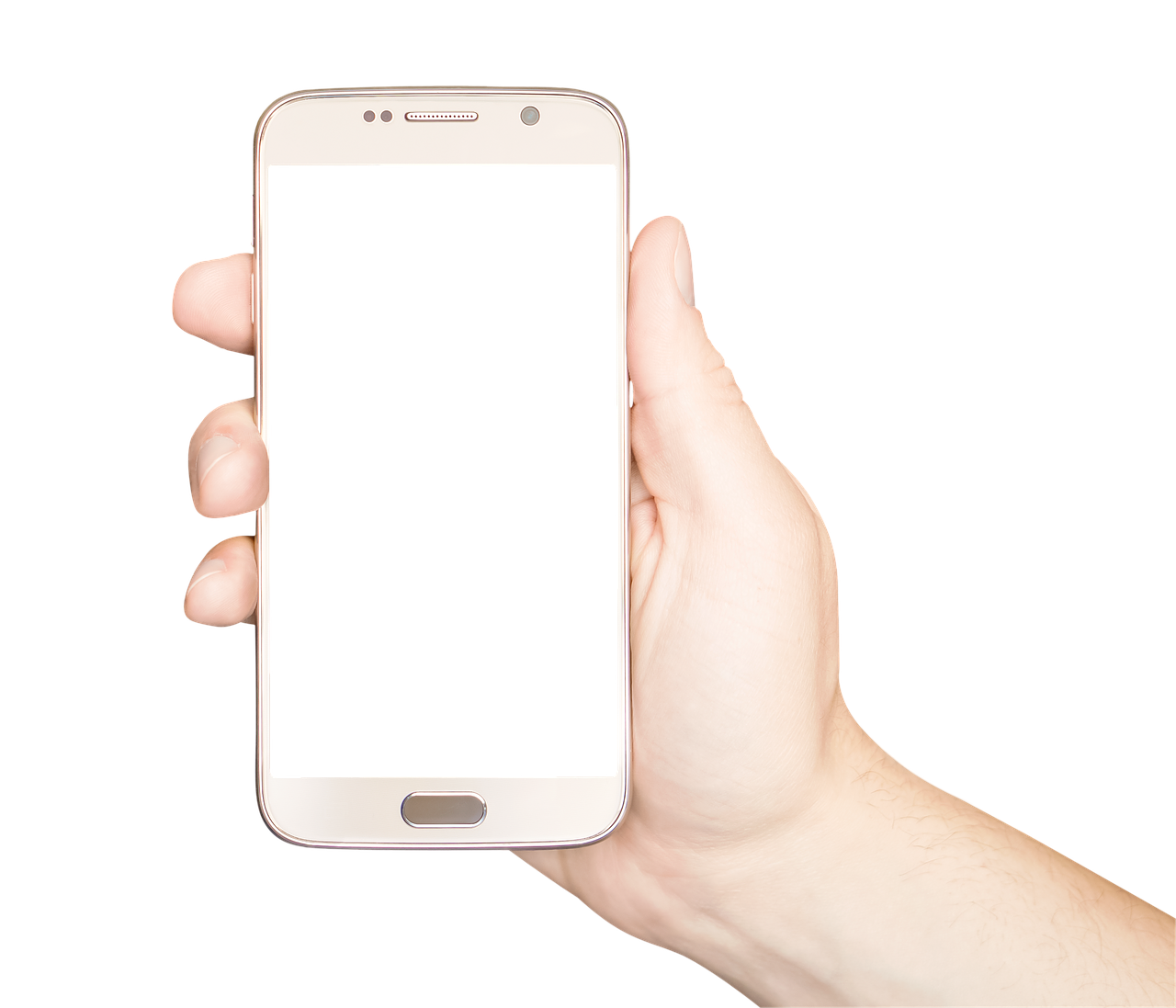 Holding Smartphone Female Hand Electronics PNG
