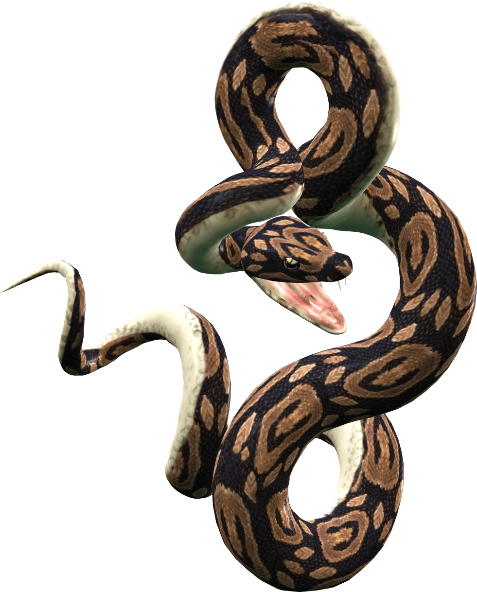 Kitty Snake Pet Reptile Hydra PNG