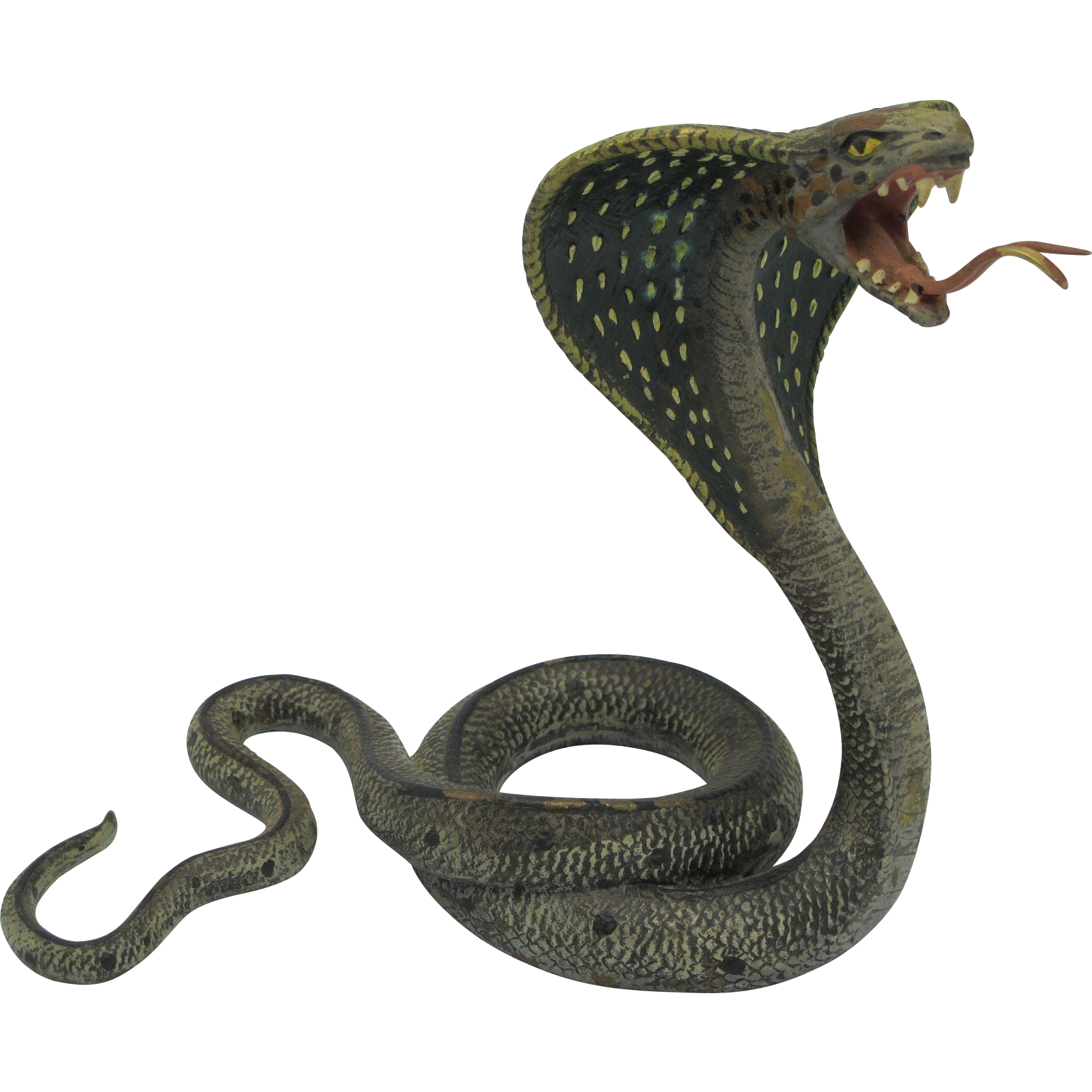 Gray Snake Cobra Tree Boa PNG