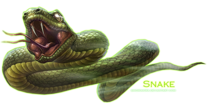 Snakes Auger Cartoon Green Snake PNG