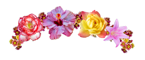 Communication Flower Pix Fast Technology PNG