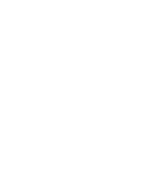 Flurries Snowflake Wisps Snowbird Snowballs PNG