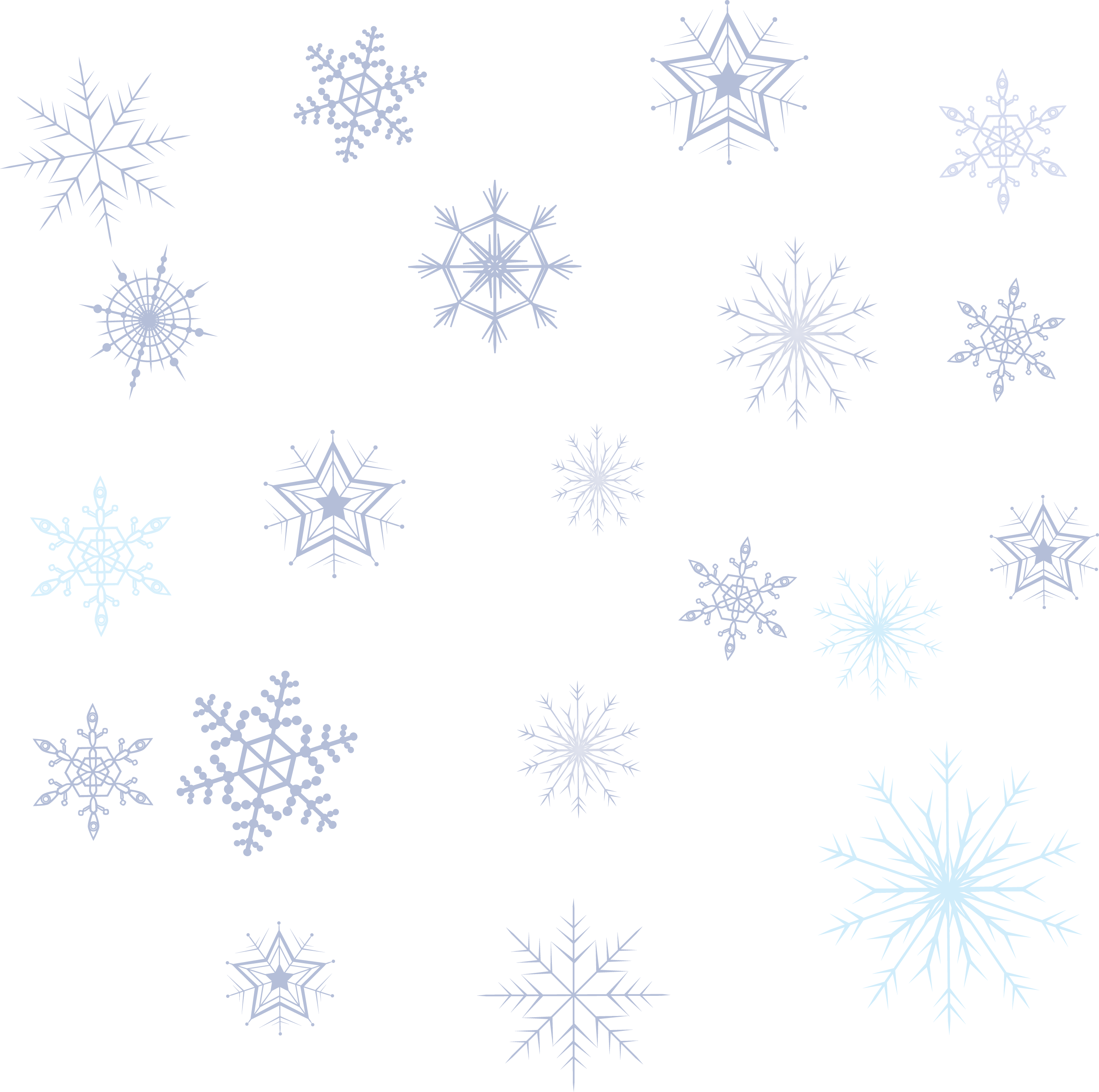 Line Bracts Collection Square Hoarfrost PNG