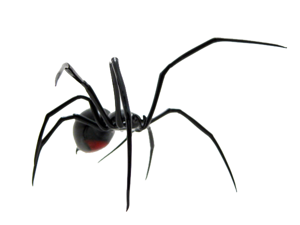 Creature Basilisk Tree Spider Farm PNG