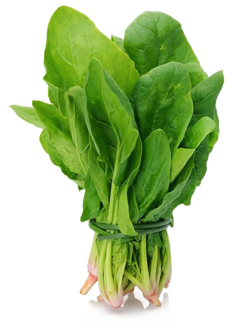 Beet Green Quality Vegetables High PNG