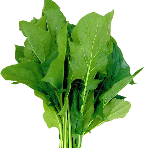 Chives Listeria Vegetables Green Spinach PNG