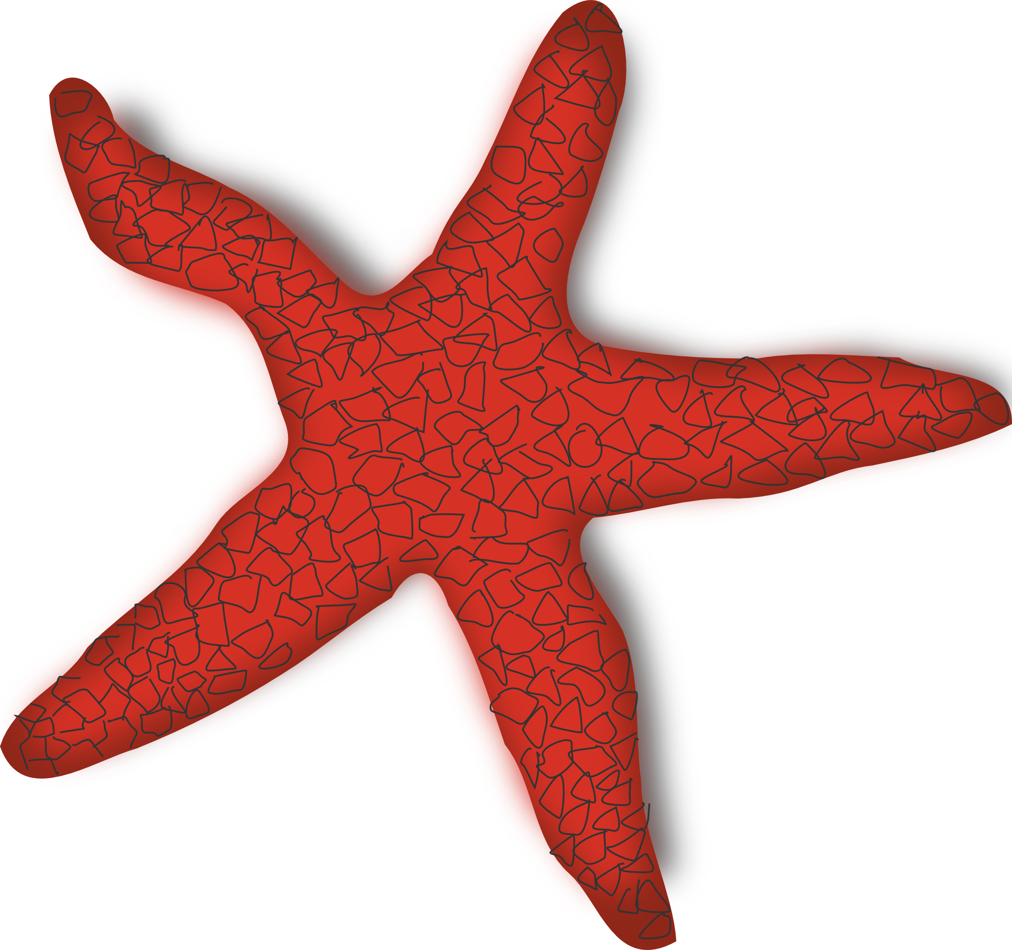 Starfish Animals File Snakes Coral PNG
