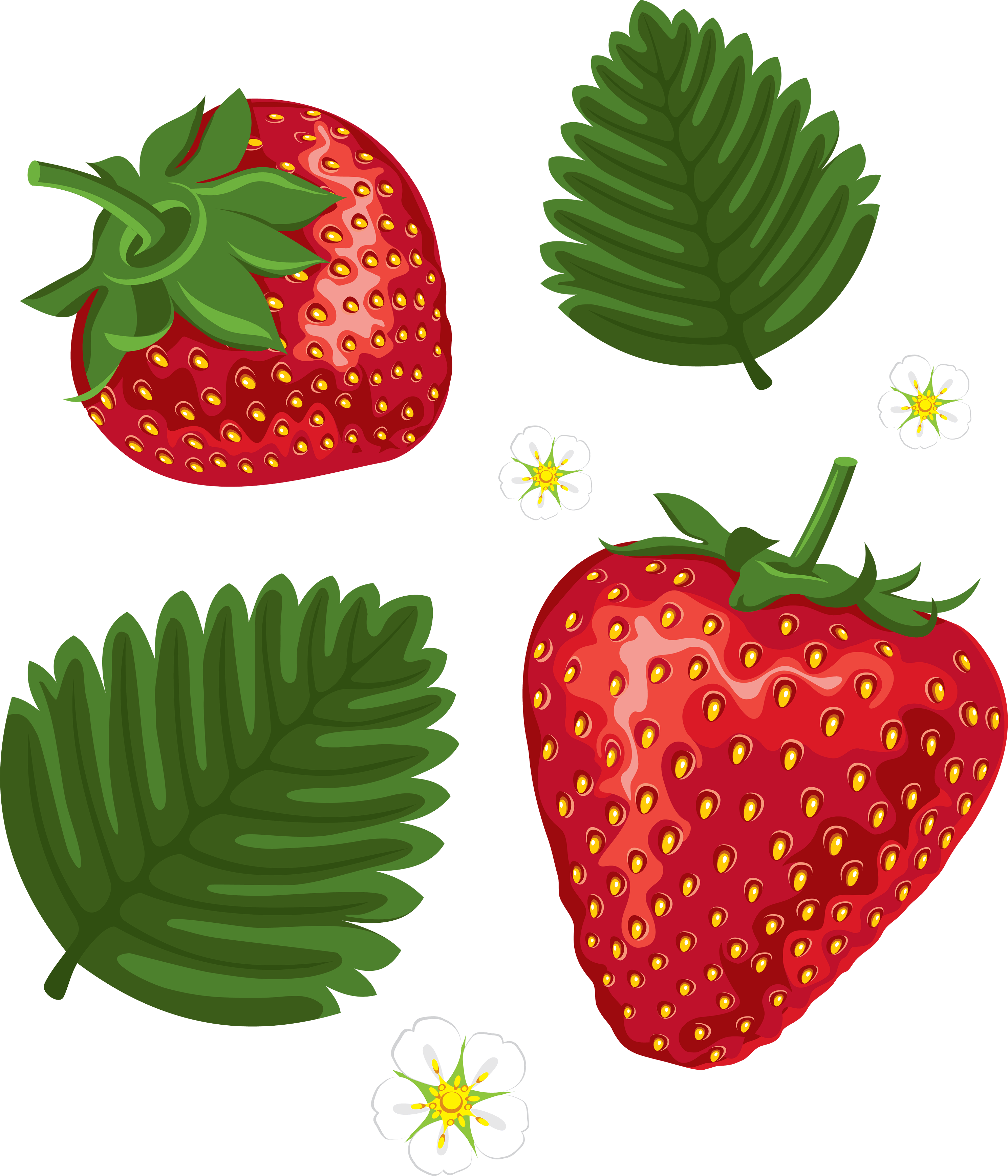 Watermelon Pecans Strawberry Rhubarb Cherries PNG
