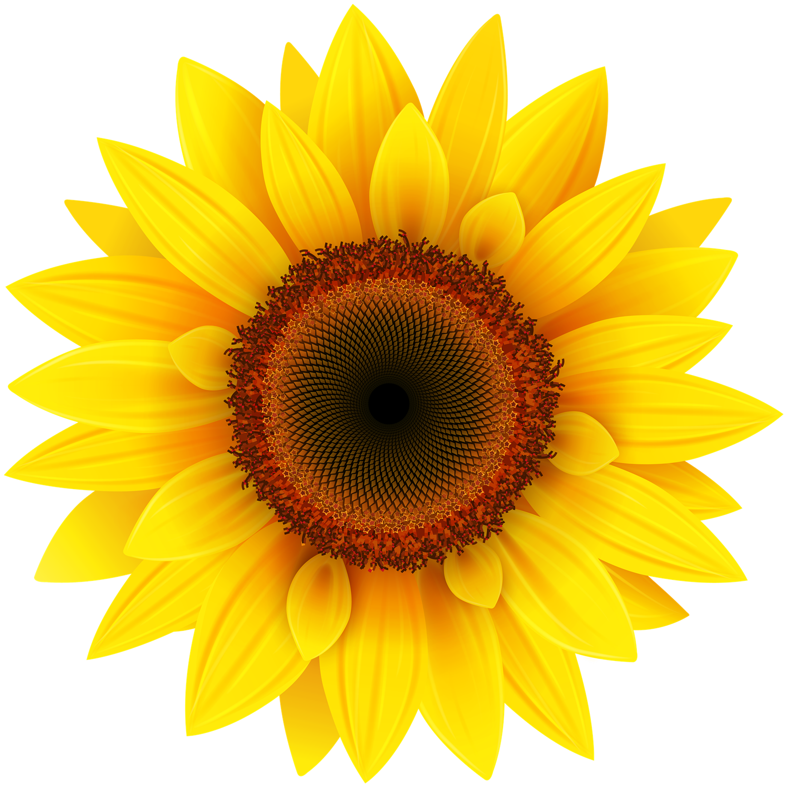 Love Sun Weather World Seed PNG