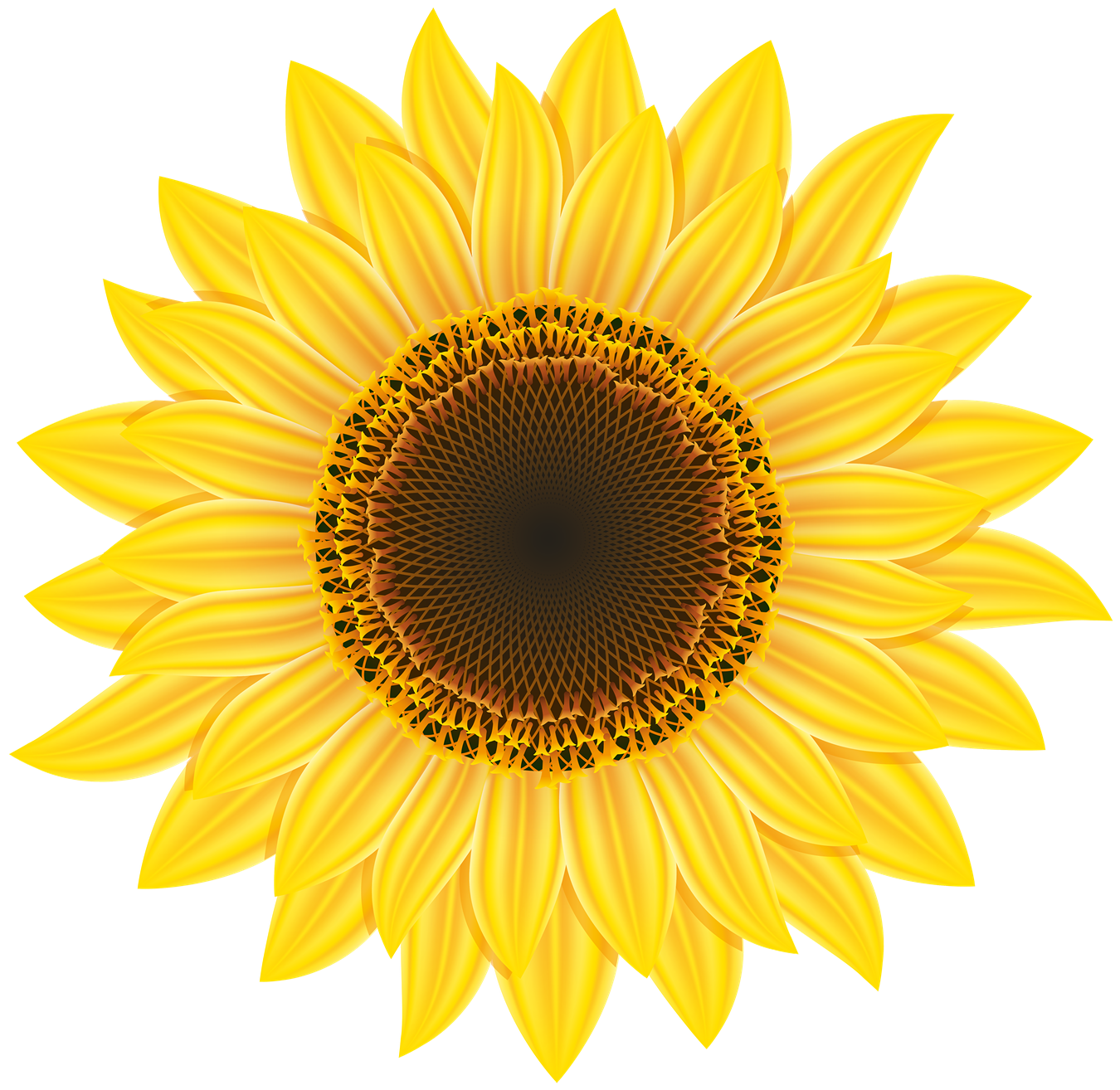 Swag Blue Sunflower Strawberry Bean PNG