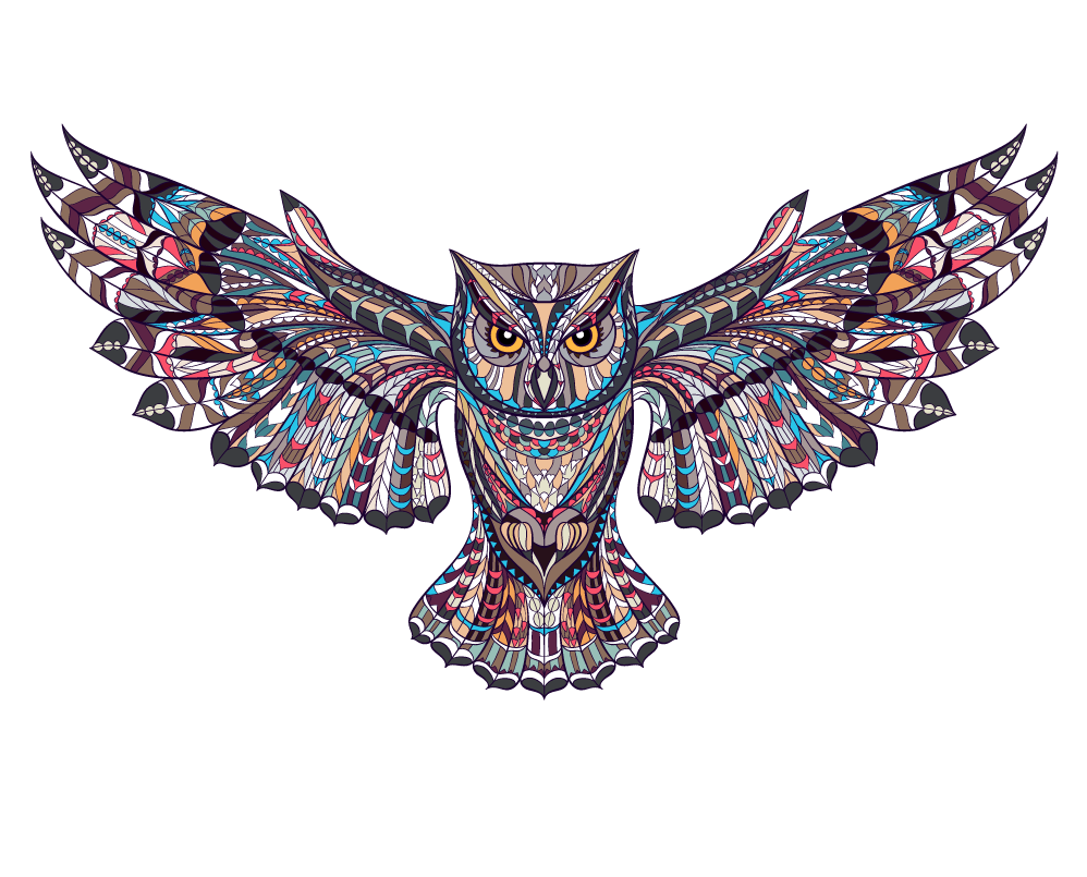 Decal Wall Owl Illustration Headdress PNG