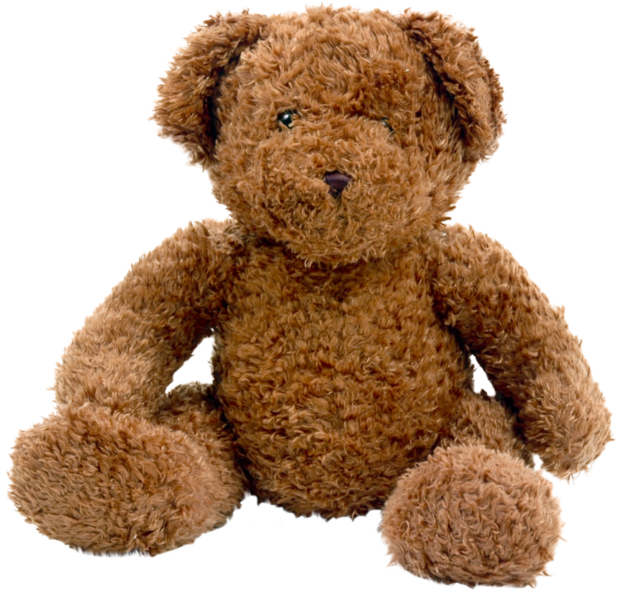 Pinafore Teddy Wear Bear PNG