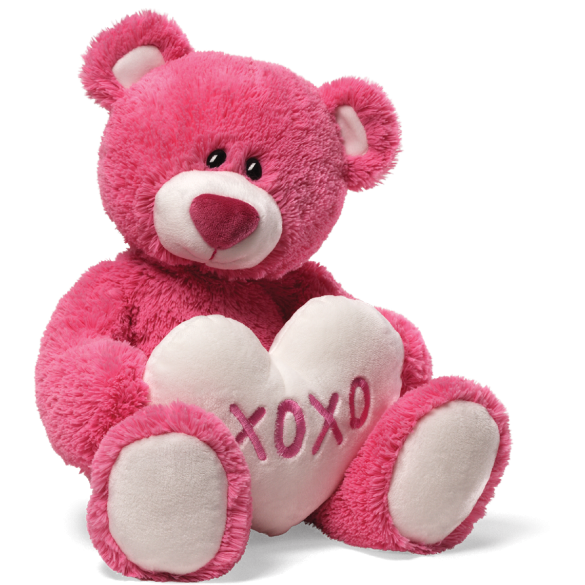 Acquit Teddy Bear Cuddle PNG