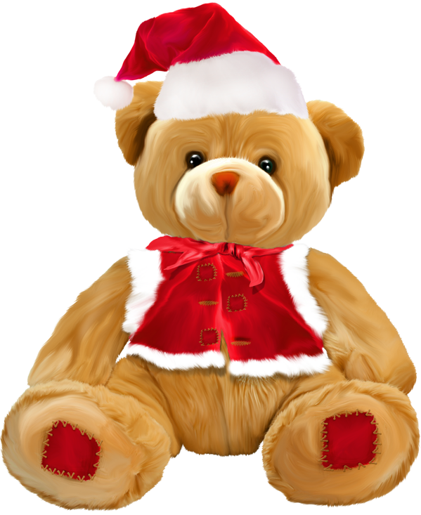 Wear Teddy Bear Plimsolls PNG