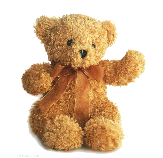 Assume Burden Bear Teddy Plush PNG