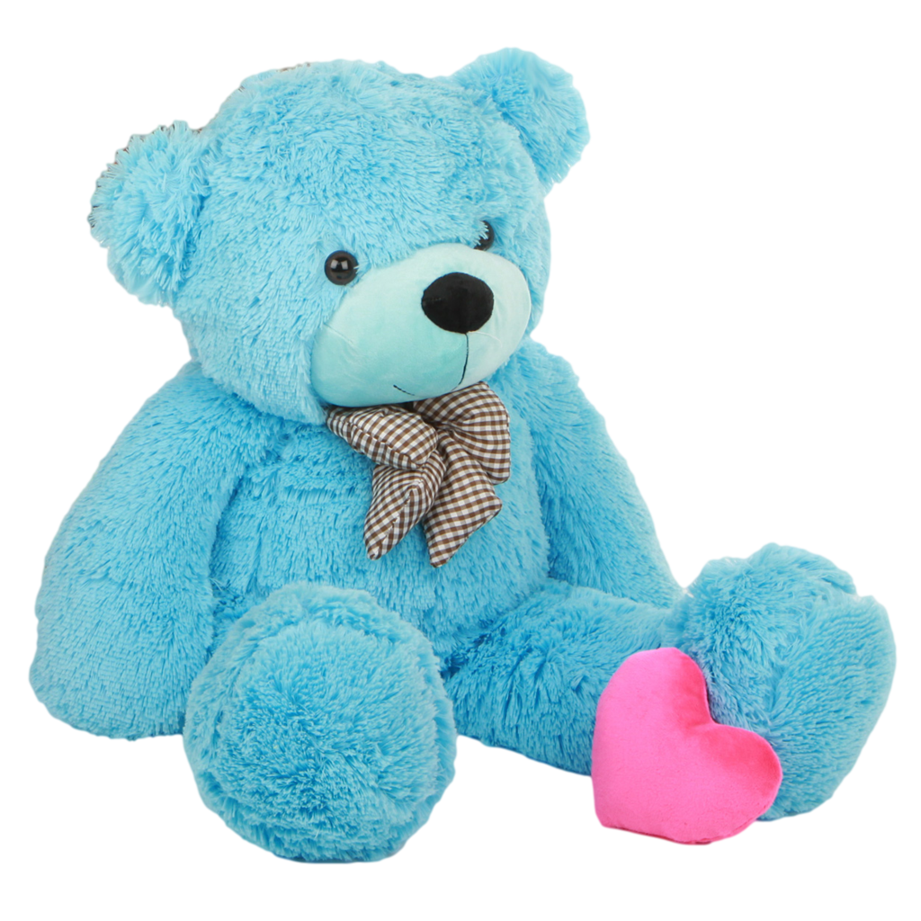 Teddy Carry Bear Grizzly Boy PNG