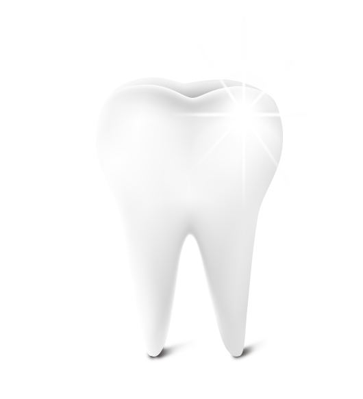 Jawbones Tooth Jowls Medical Clean PNG