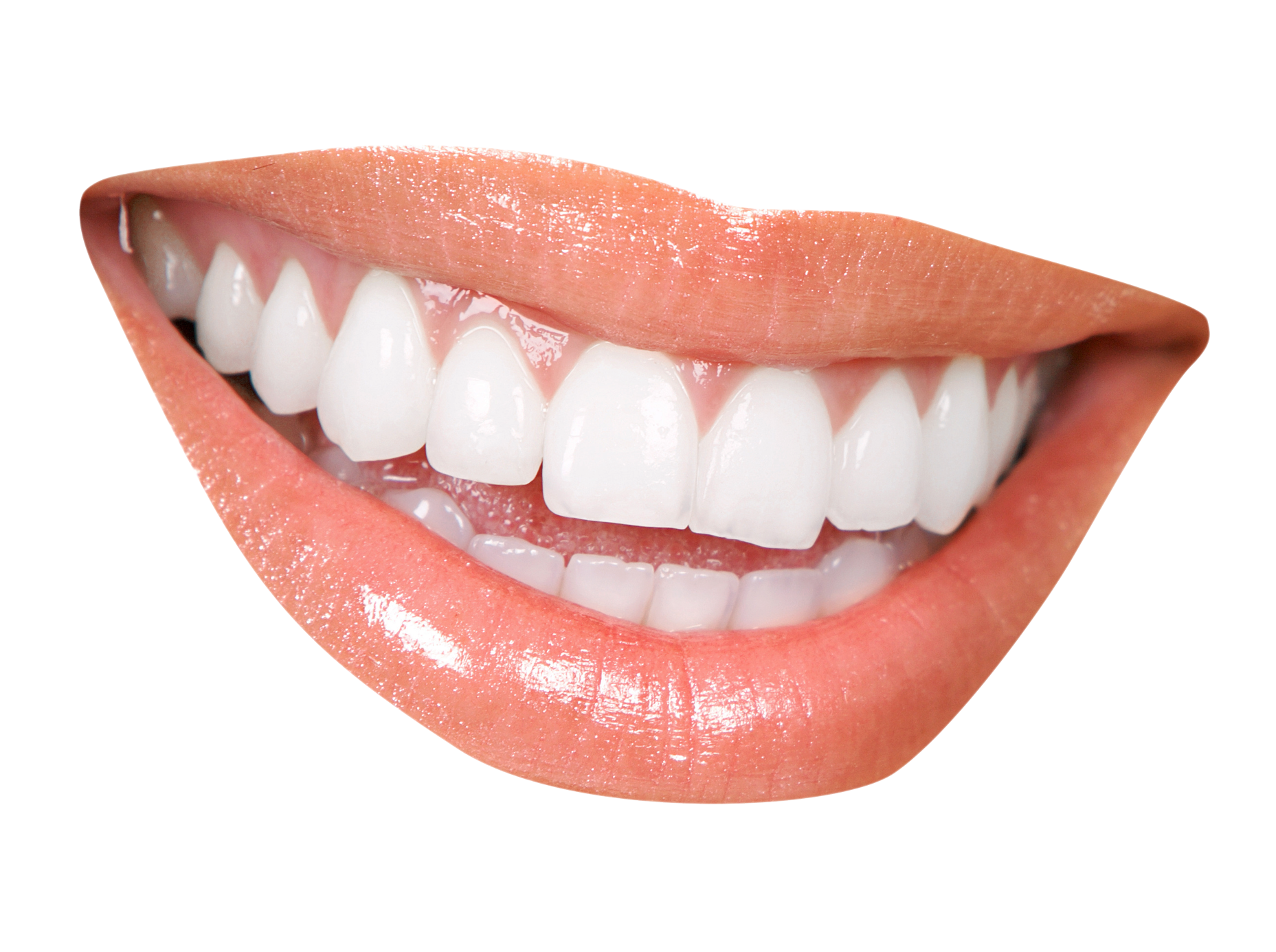 Medical Bones Bullet Incisors Bite PNG