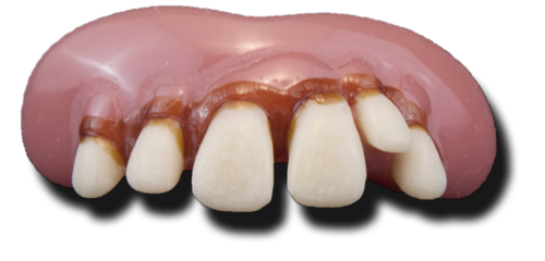 Bicuspids Medical Molar Cavities Cuticles PNG