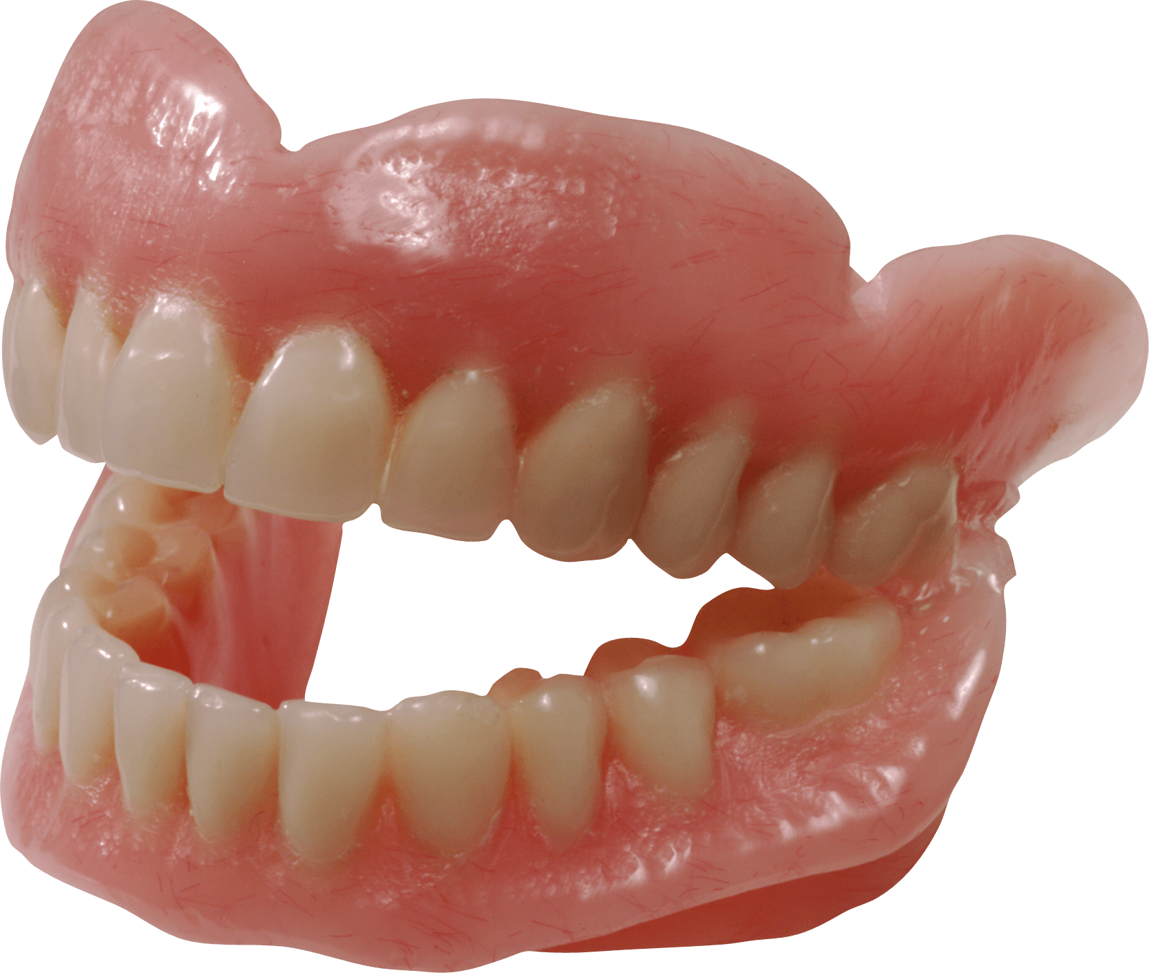 Tooth Fillings Medical Whiskers Gums PNG