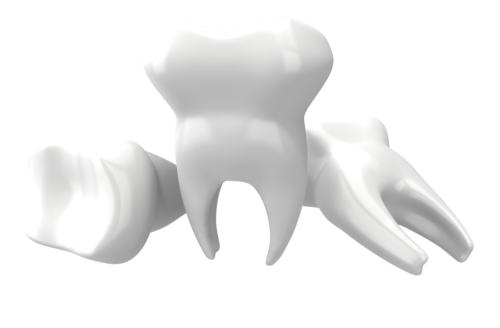 Whites Dents Tooth Testicles Hipbones PNG