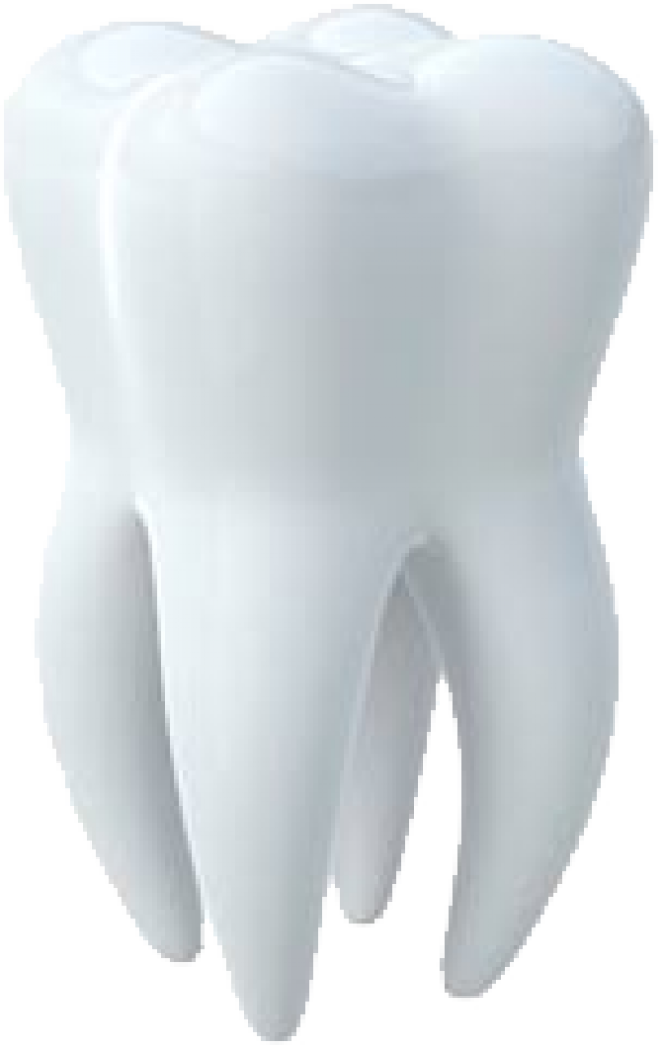 Claws Prongs Tooth Toothbrushes Tusks PNG