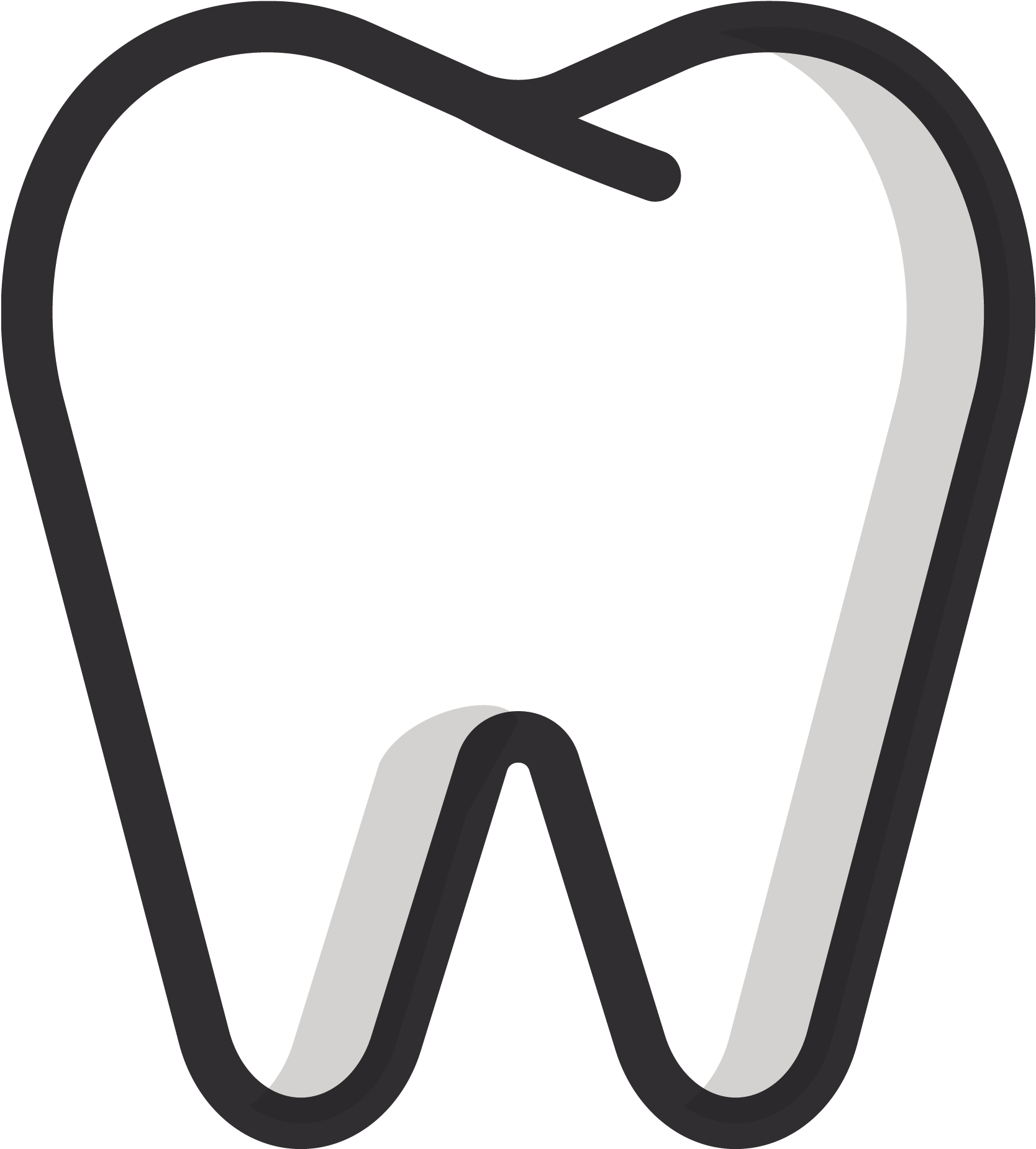 Dentition Premolar Incisors Medical Snouts PNG