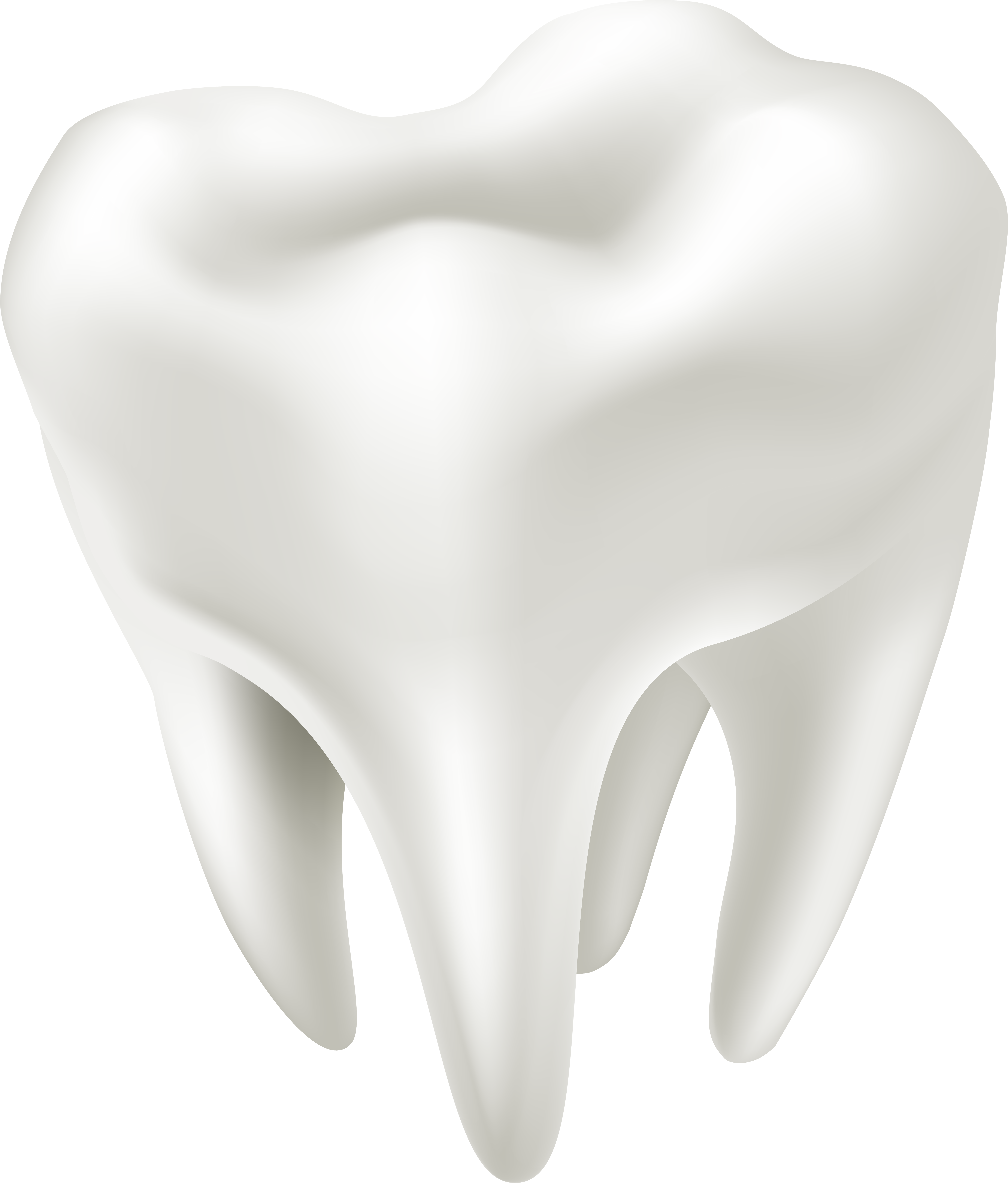 Flosses Bones Teethed Tooth Medical PNG