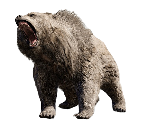 Bear Kuma Games Tekken PNG