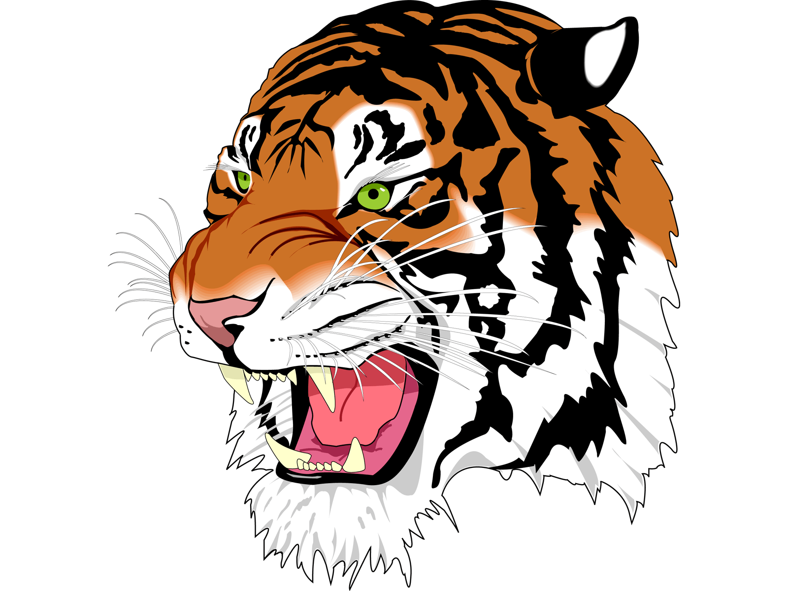 Stepson Tiger Panther Woods Cute PNG