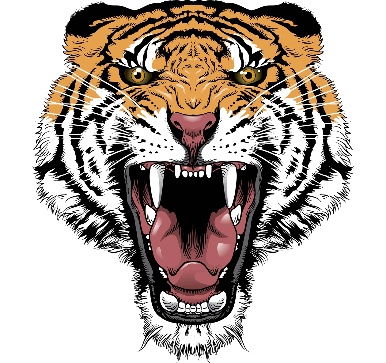 Cute Wild Tiger Cougar Face PNG