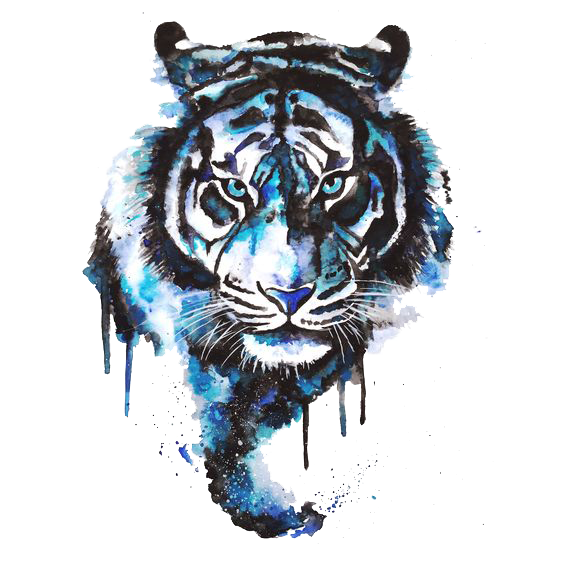 Roar Drawing Slot Tiger Artist PNG