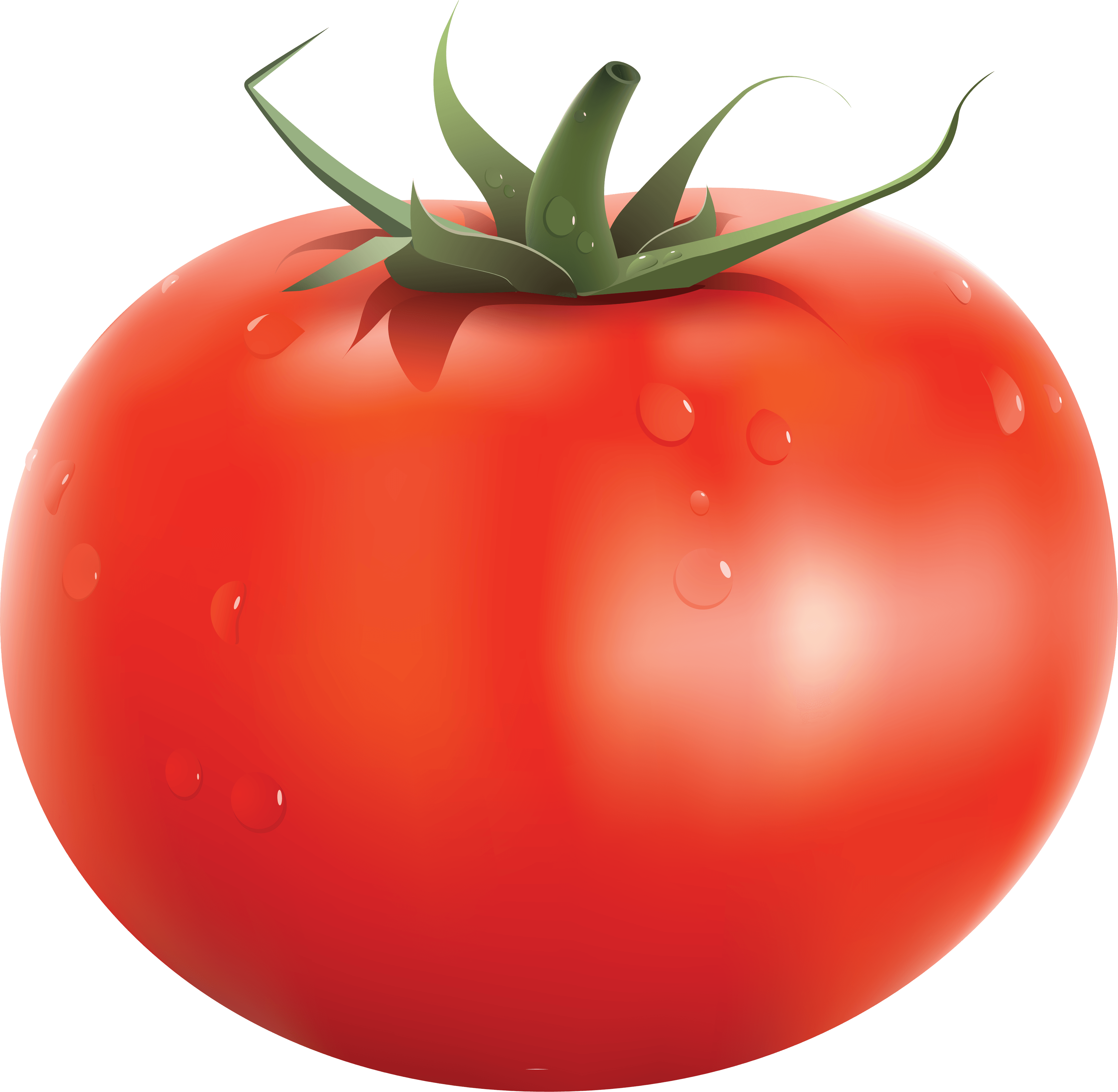 Luxury Onion Tomato Green Grains PNG