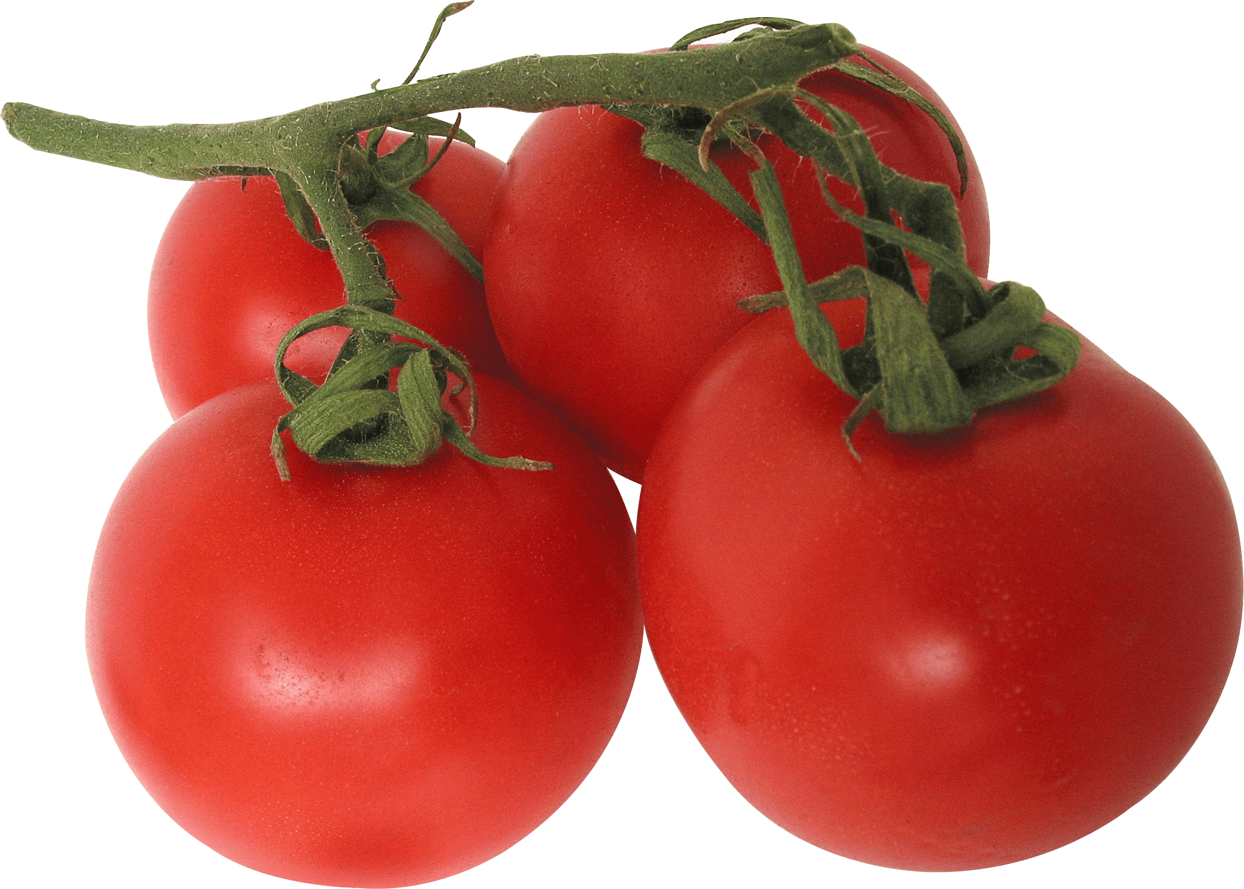 Transformation Tomato Cucumbers Fit Potato PNG