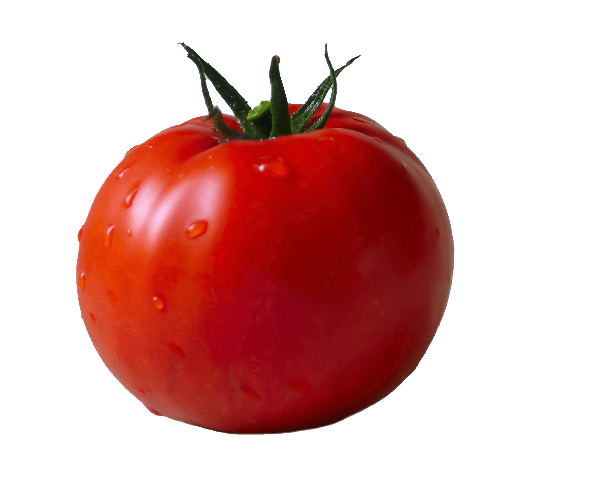 Lettuce Fruit Tomato Artichoke Nuts PNG