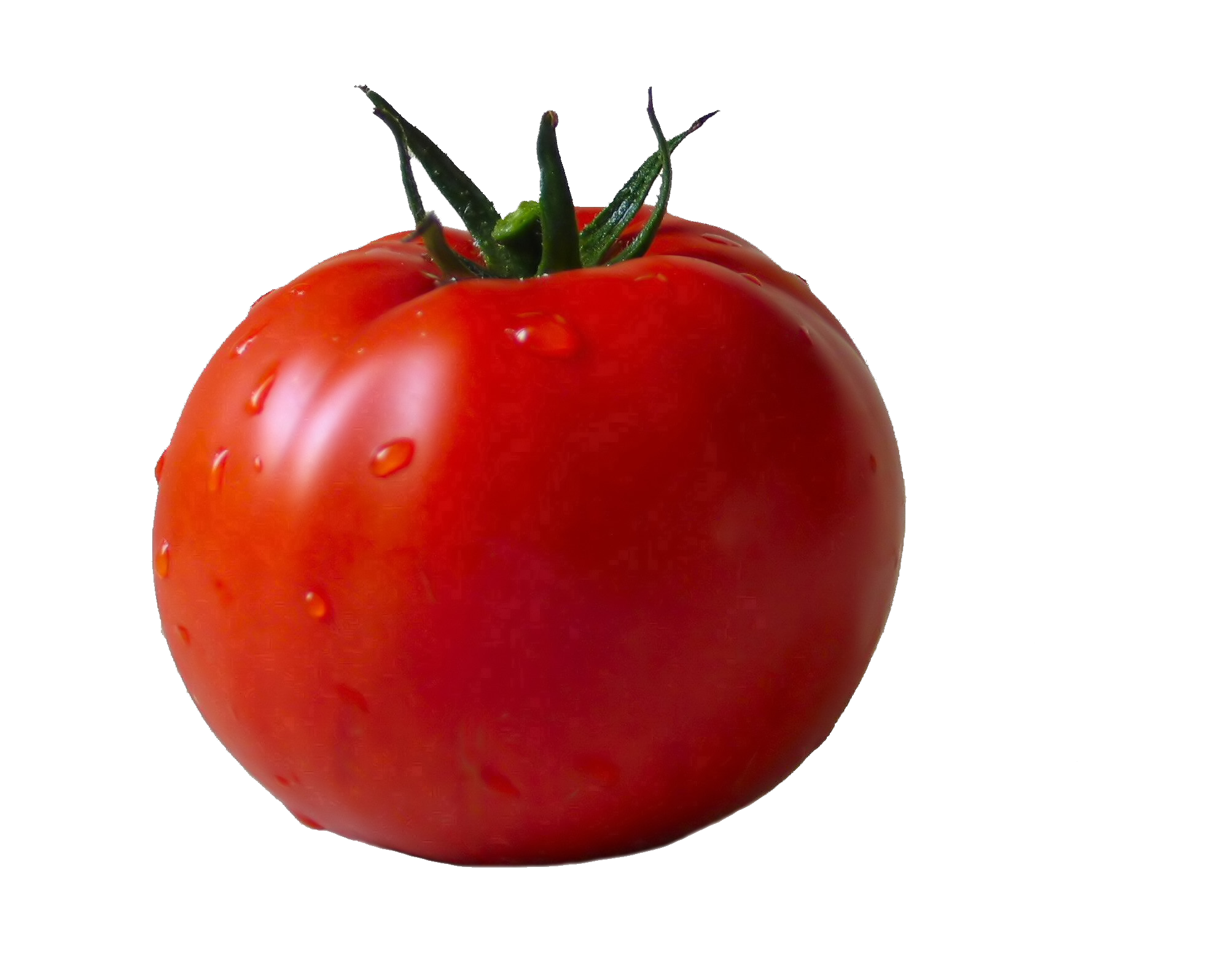 Cucumber Entrepreneur Basil Pappy Tomatoes PNG