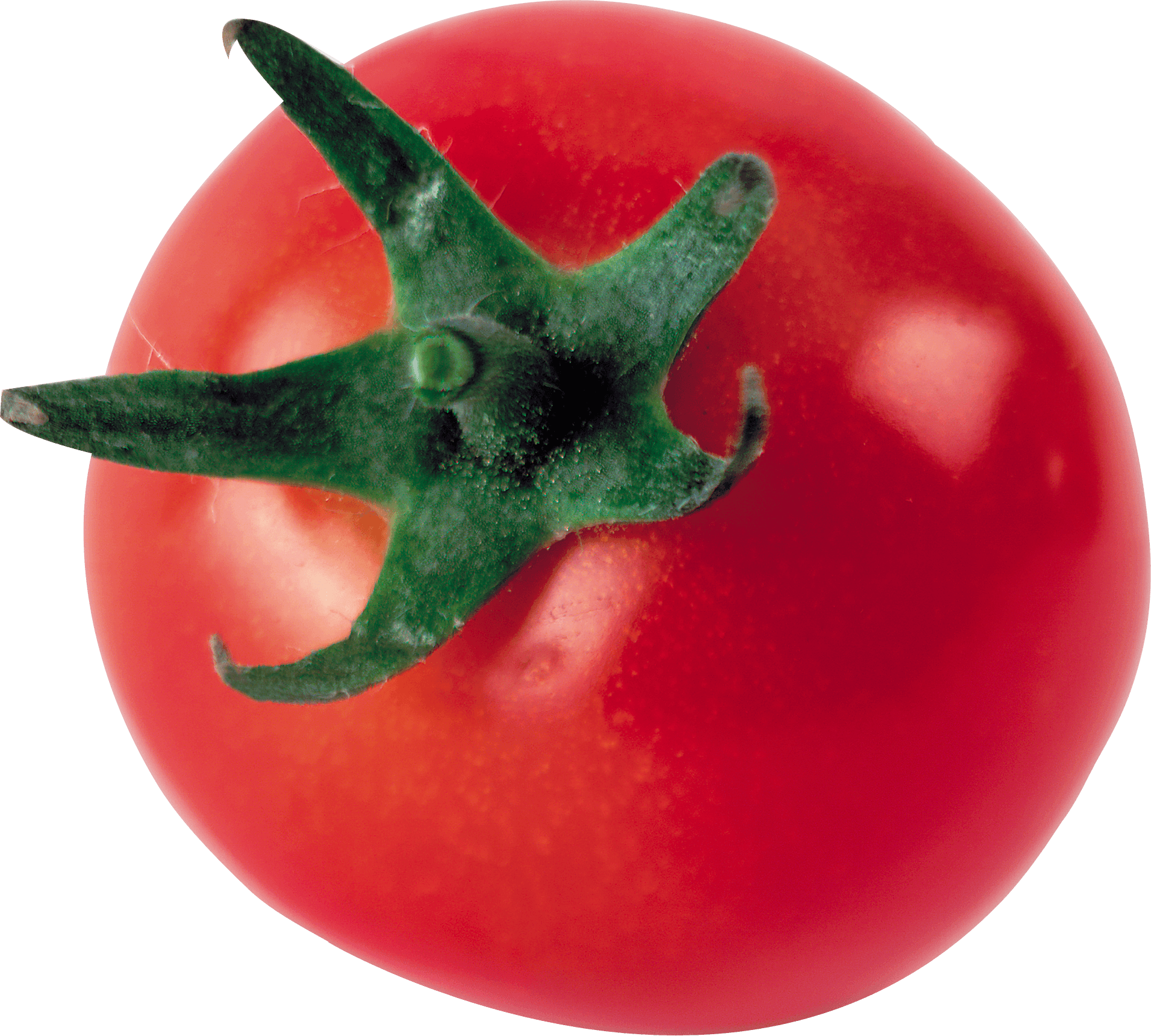 Tomato Zucchini Cauliflower Peppers Cucumbers PNG