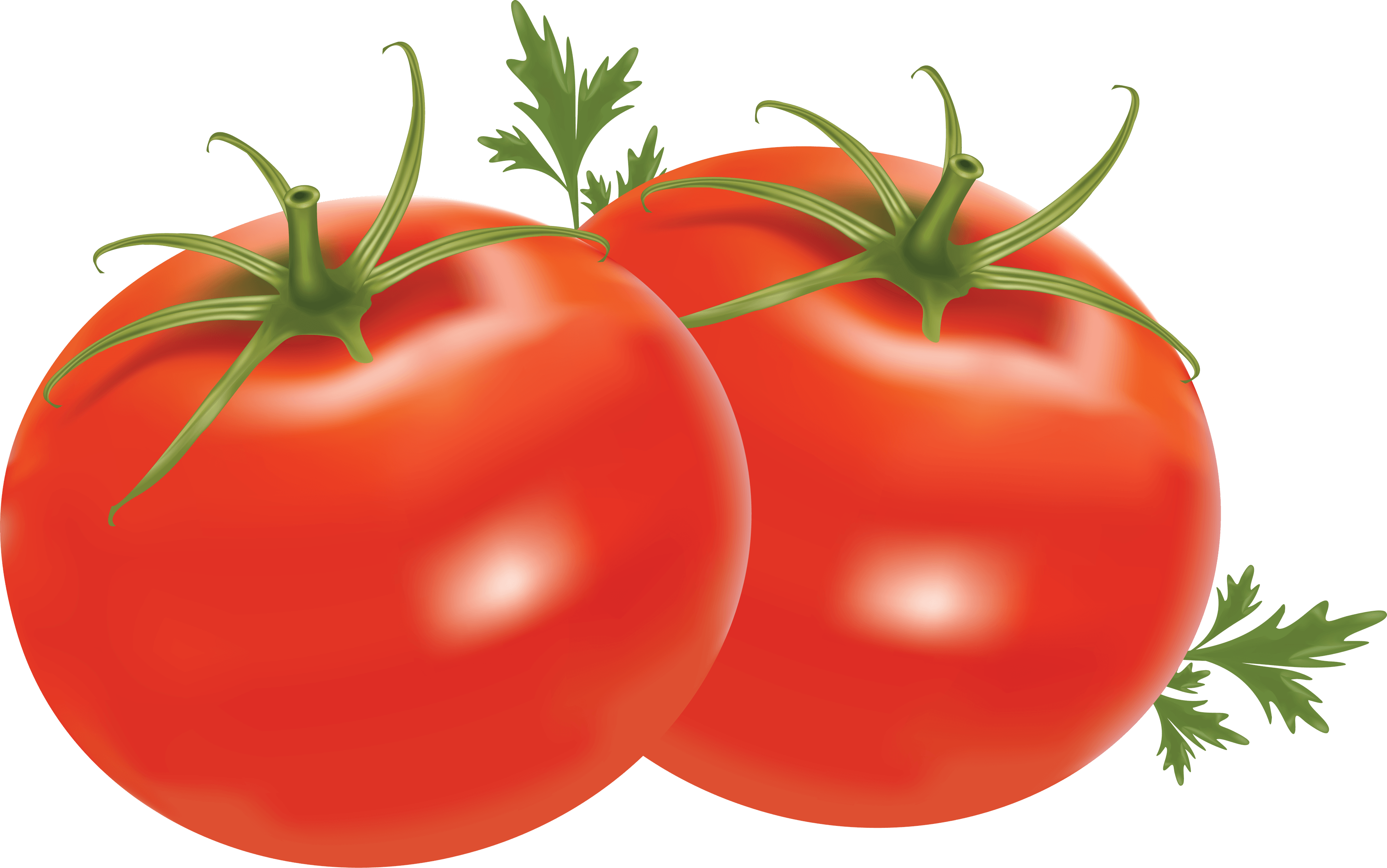 Veggies Spinach Tomato Elite Cantaloupe PNG