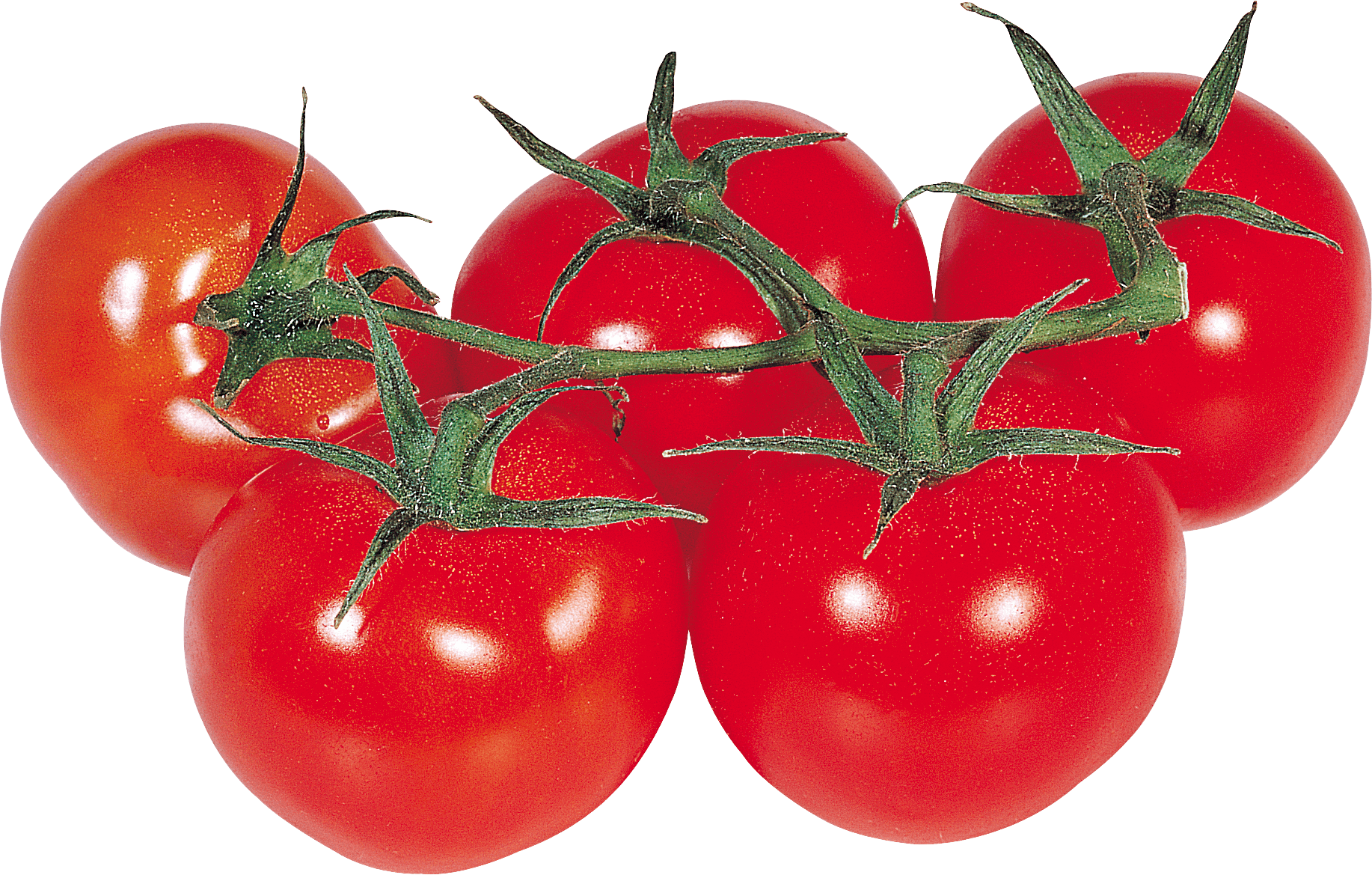Grains Girls Tomato Noodle Muscles PNG