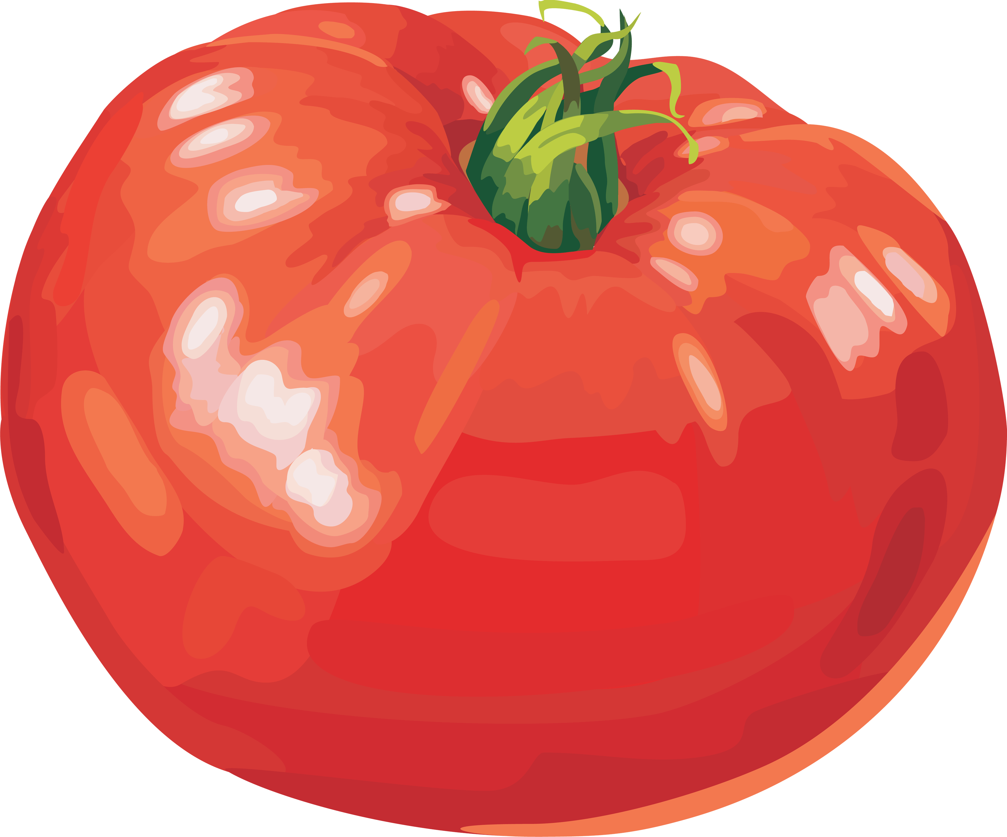 Cauliflower Spinach Tomato Motivation Jalapeno PNG